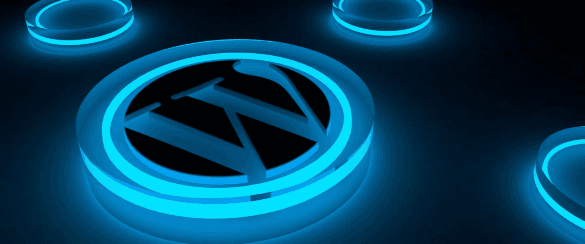 WordPress Development Services