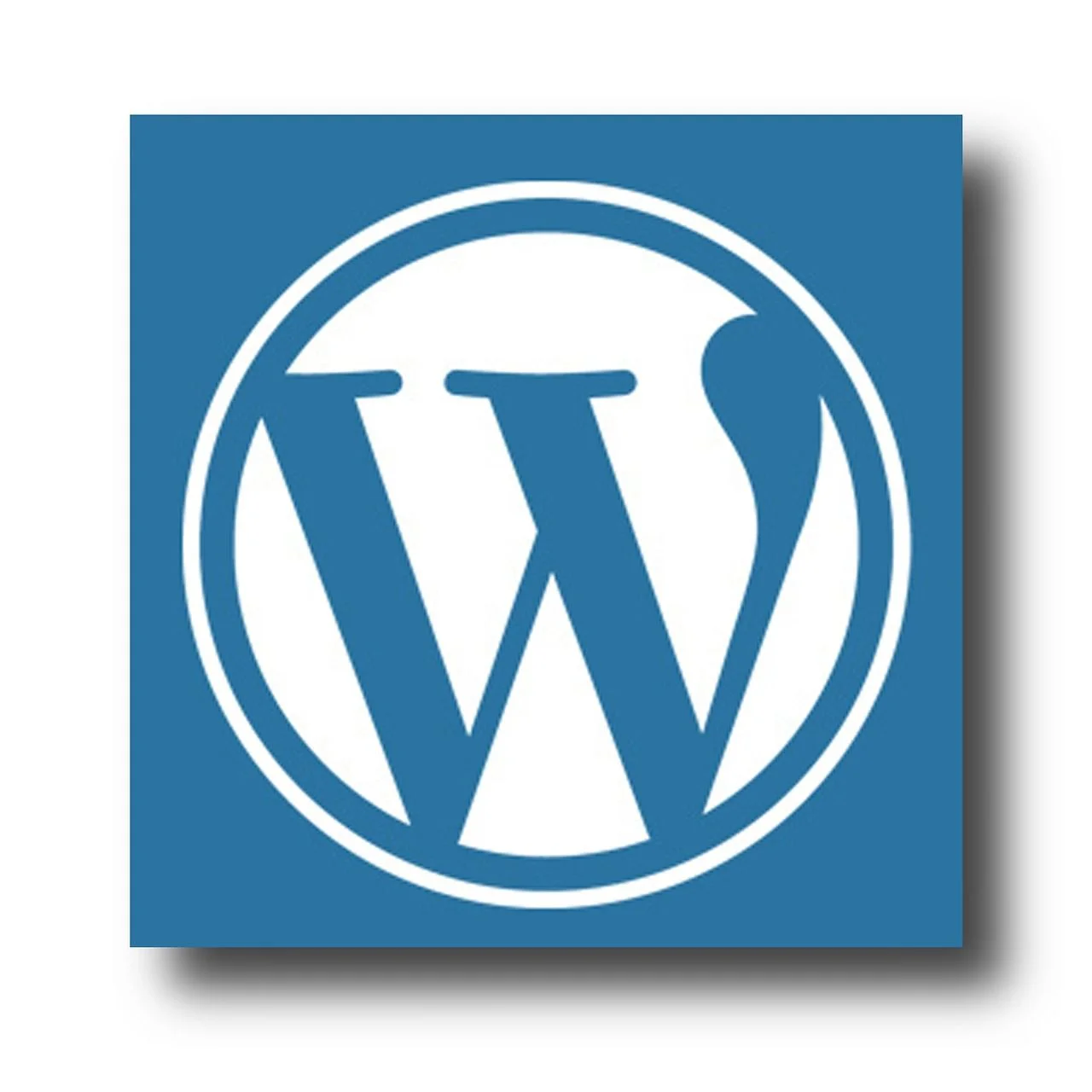 wordpress 5.jpg
