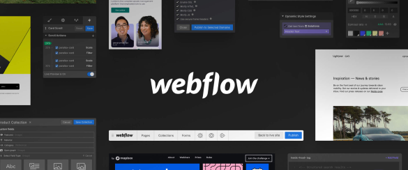 Webflow Development Services