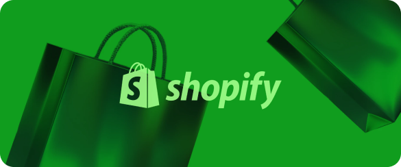 Shopify Maintenance Services